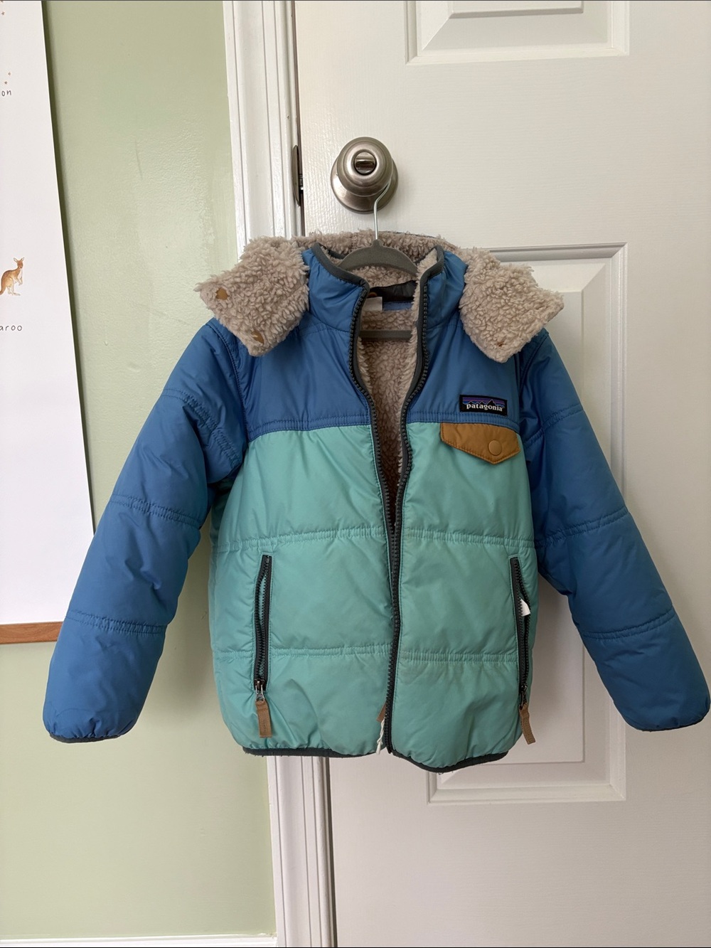 Patagonia Kids Teal and Blue Sherpa-Lined Puffer Jacket
